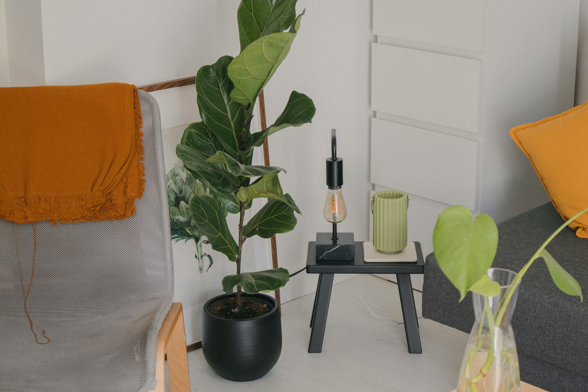 indoor green spaces